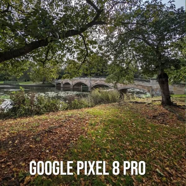 Google Pixel 8 Pro Review: Is it worth buying?