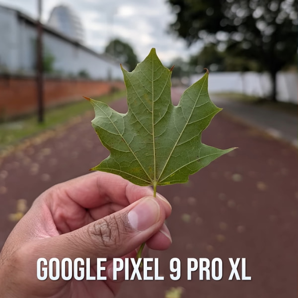 Google Pixel 9 Pro XL Review: Better Than Expected?